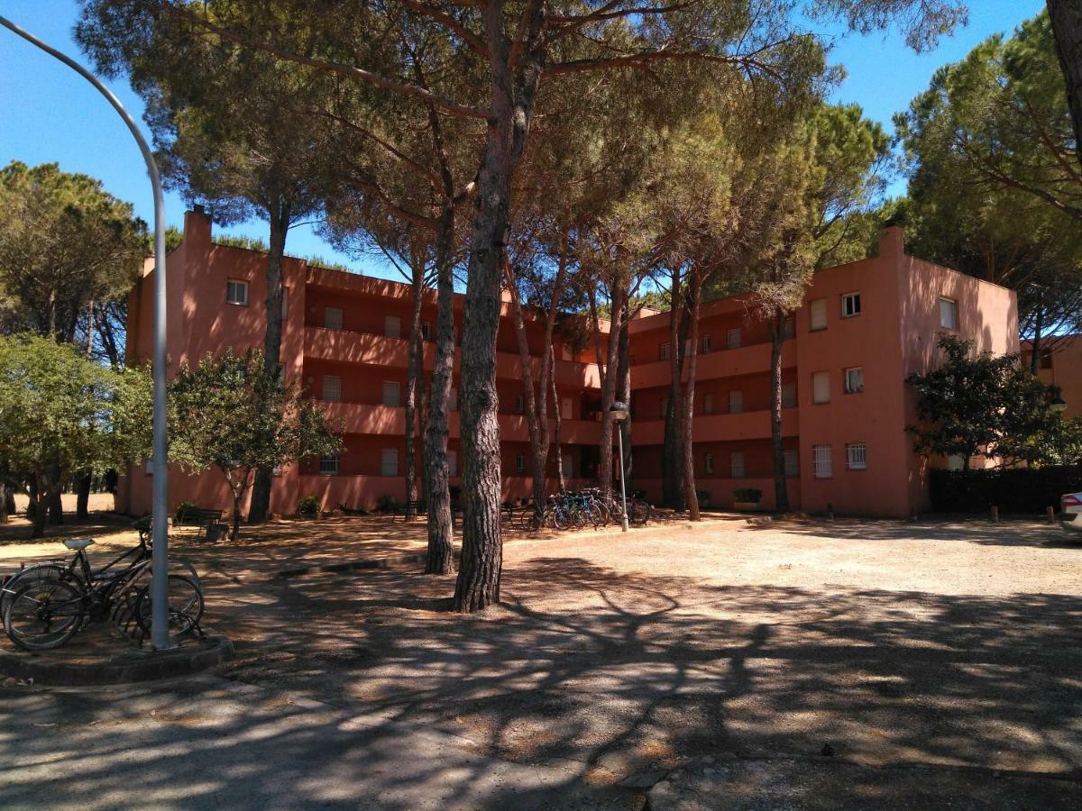 Bonito Apartamento, Con Piscina, Excelente Wifi Y Aire Acondicionado Pals Dış mekan fotoğraf